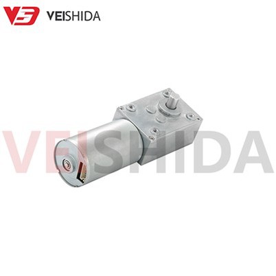 Modur Gear Worm